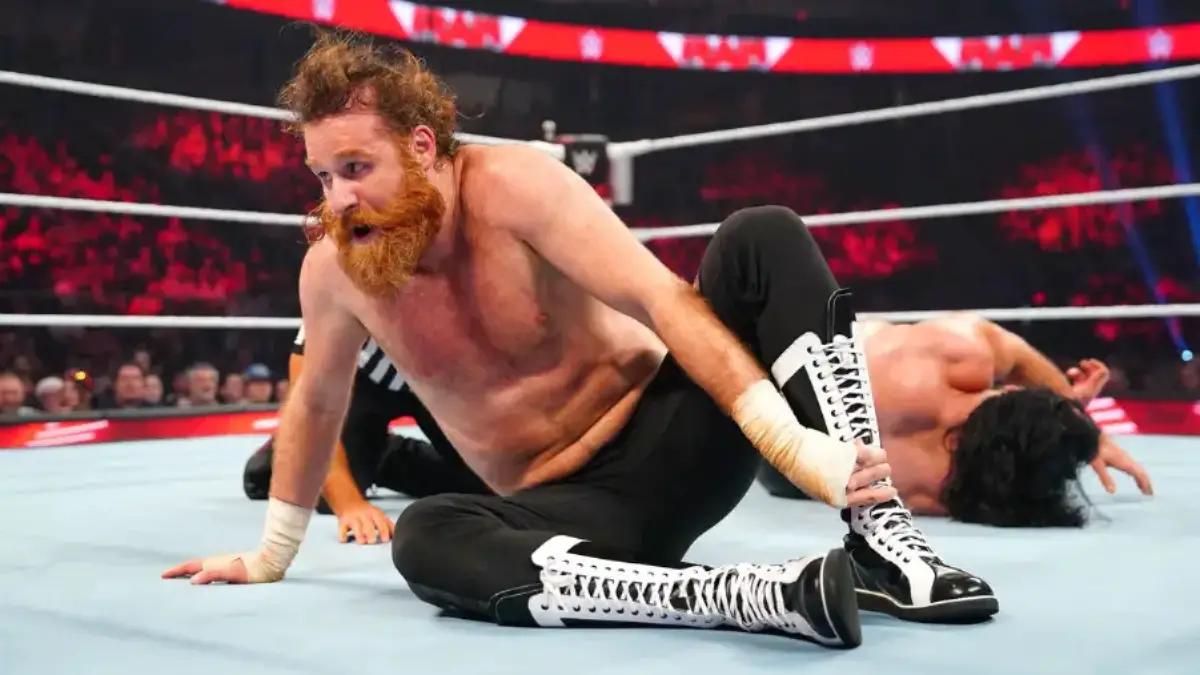 WWE's 2024 Plans For Sami Zayn Revealed Cultaholic Wrestling